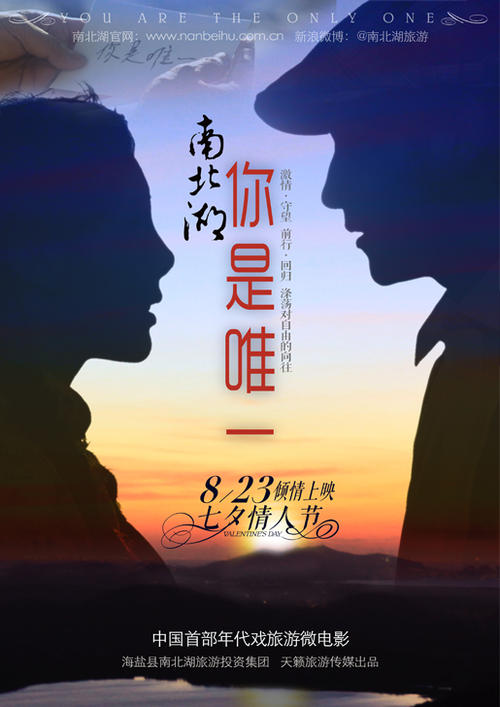 怎么做假南卡罗莱纳州